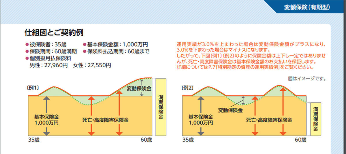 変額保険はやめた方がいい？普通の保険との違いやデメリット・メリットを保険営業に聞いた