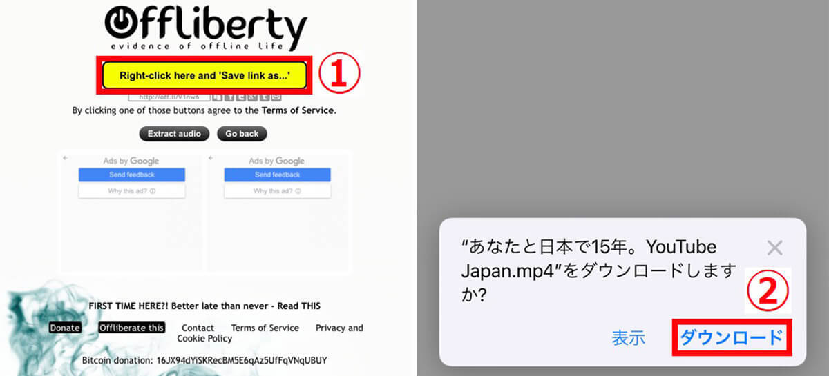 「Offliberty」でYouTube動画を簡単に保存する方法！注意点/違法性も解説