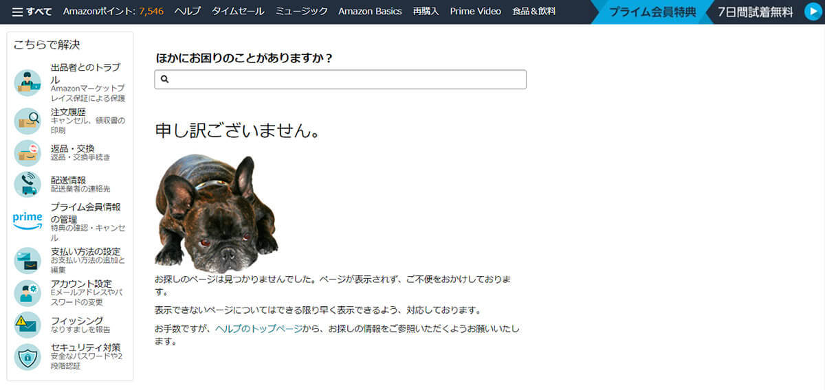 Amazonの「あの犬」が見つからない！「ページが見つかりません」エラーの犬を見る方法