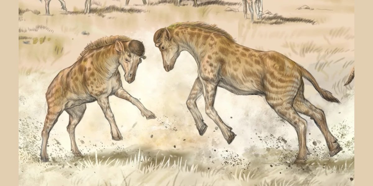 中国伝説そっくりの「キリン」化石を発見！　現生キリンが首を長く進化させたヒントにも