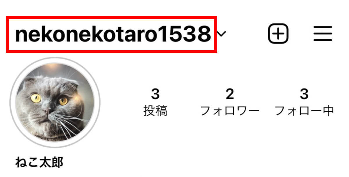 インスタ（Instagram）のユーザーネームと名前の変更方法と変更できないときの注意点