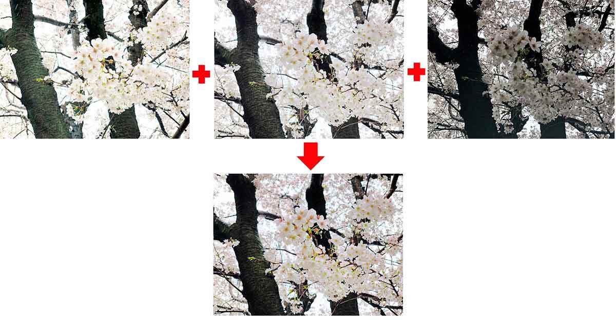 iPhoneで「桜」をきれいに撮る方法 – ちょっとしたコツで周りに差をつける7つのワザ！