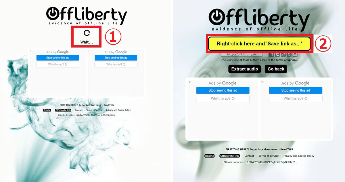 「Offliberty」でYouTube動画を簡単に保存する方法！注意点/違法性も解説