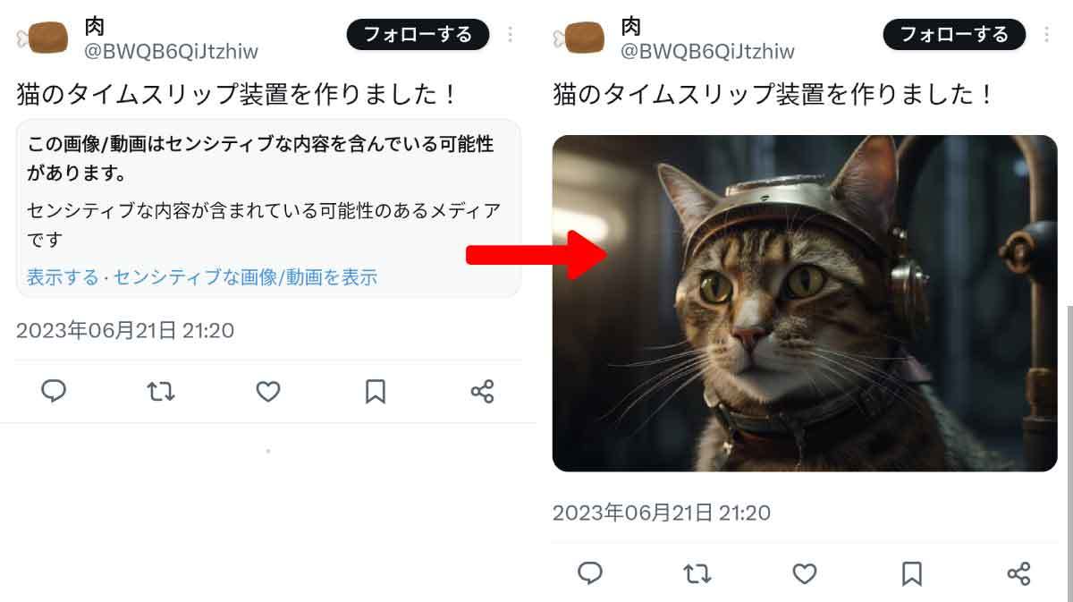 Twitterで「センシティブな内容」を見る／見ない設定のやり方