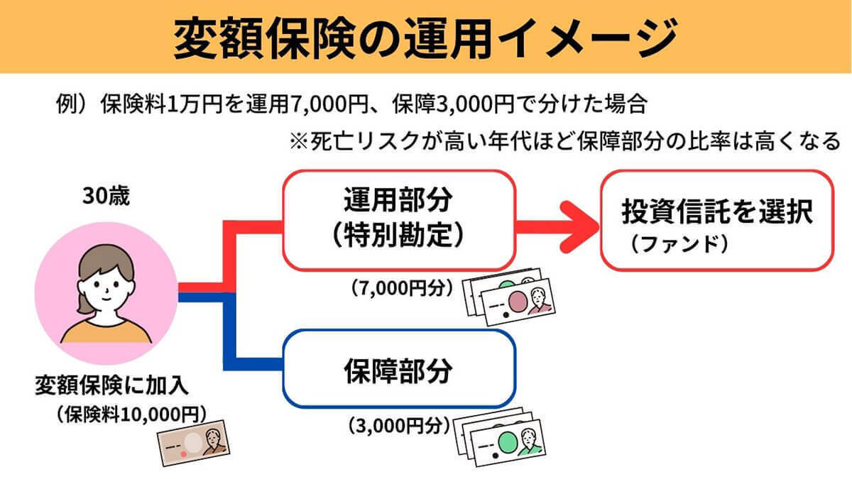 【完全ガイド】貯蓄型保険は大損？保険で貯金をしてはいけない4つの理由