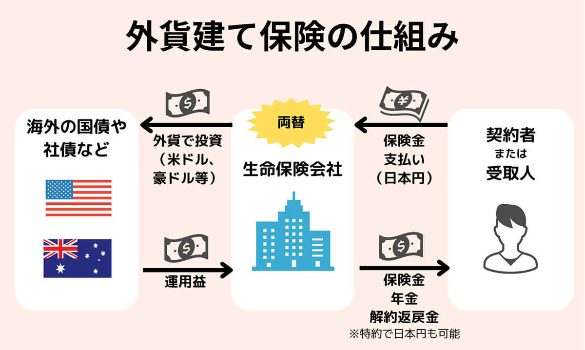 外貨建て保険はやってはいけない？損？積立前に確認すべきこととおすすめ保険3選