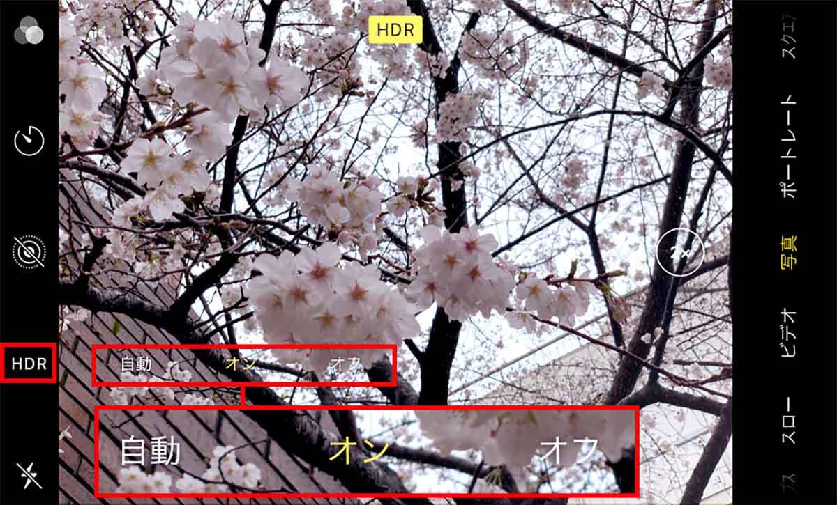 iPhoneで「桜」をきれいに撮る方法 – ちょっとしたコツで周りに差をつける7つのワザ！