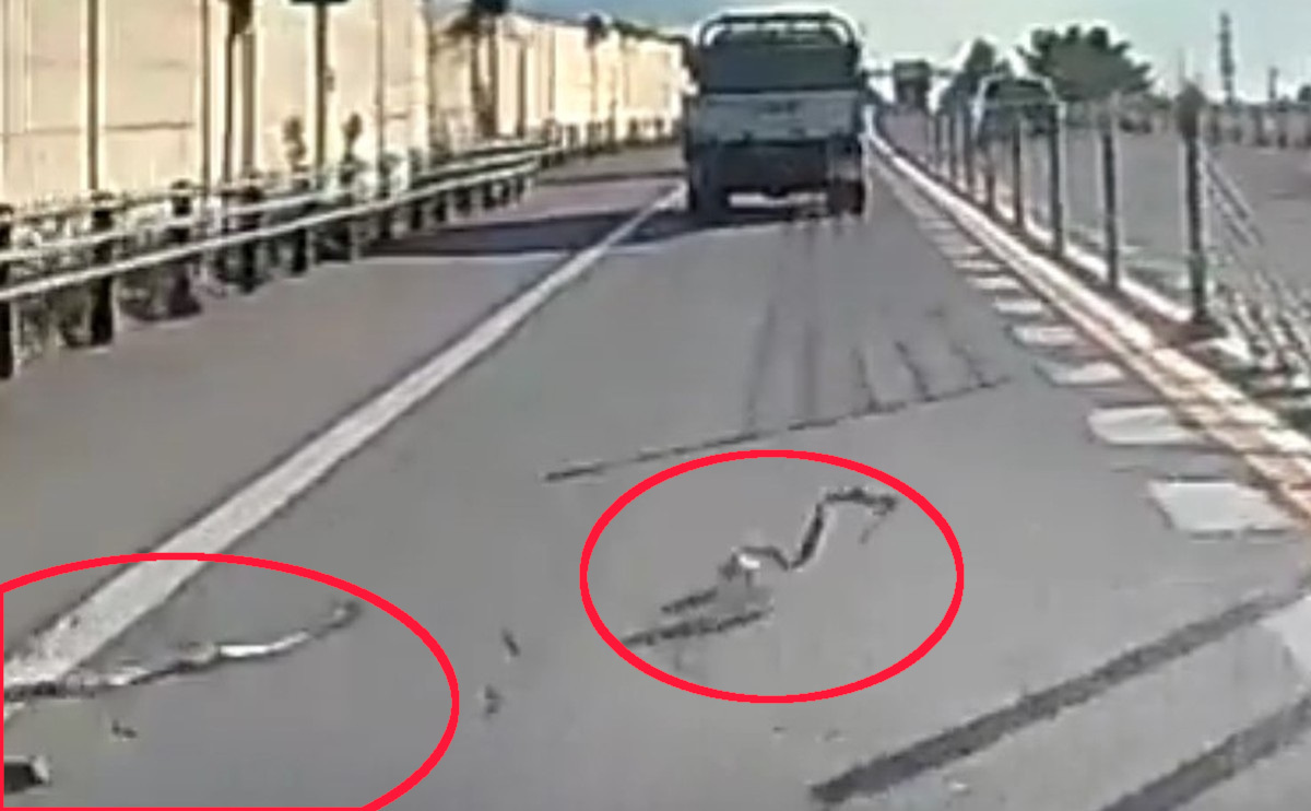 【動画あり】「ゲッ!槍が飛んできた!?」ドラレコに残ったヒヤリ映像、山陰道で突然の“落下物”に遭遇