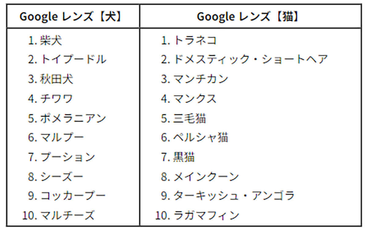 【Google検索】過去25年間で世界的に検索された言葉に「ポケモン」「NARUTO－ナルト－ 疾風伝」など