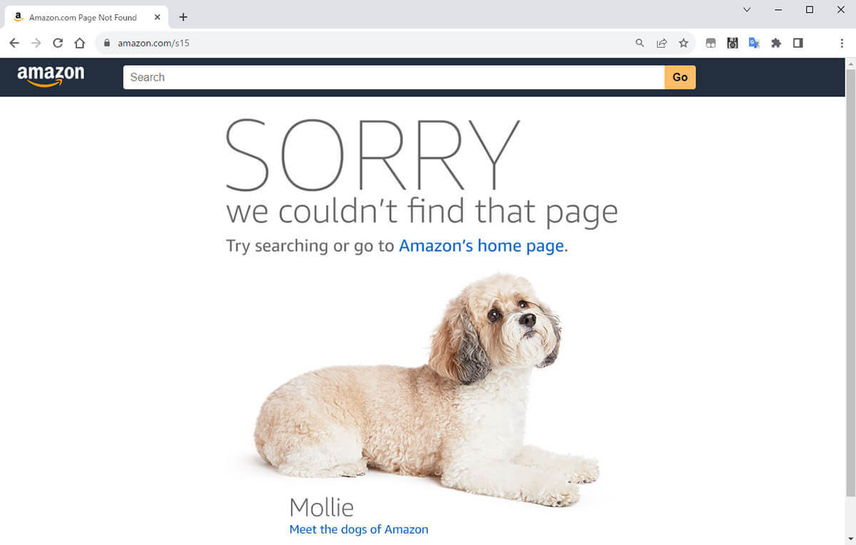 Amazonの「あの犬」が見つからない！「ページが見つかりません」エラーの犬を見る方法