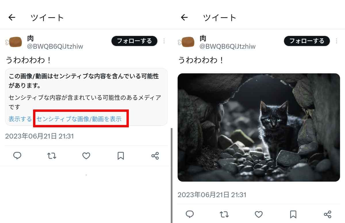 Twitterで「センシティブな内容」を見る／見ない設定のやり方