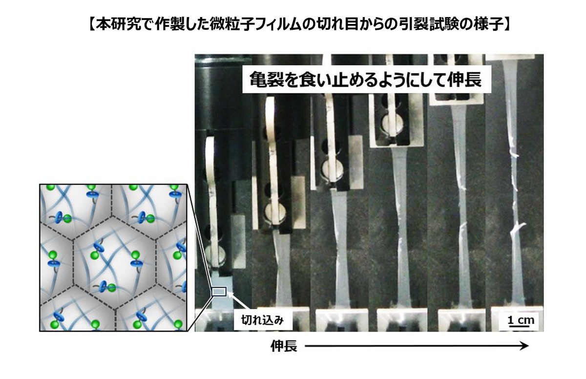 横浜ゴム　ゴムに亀裂が入りにくい高耐久性ゴムの開発に成功