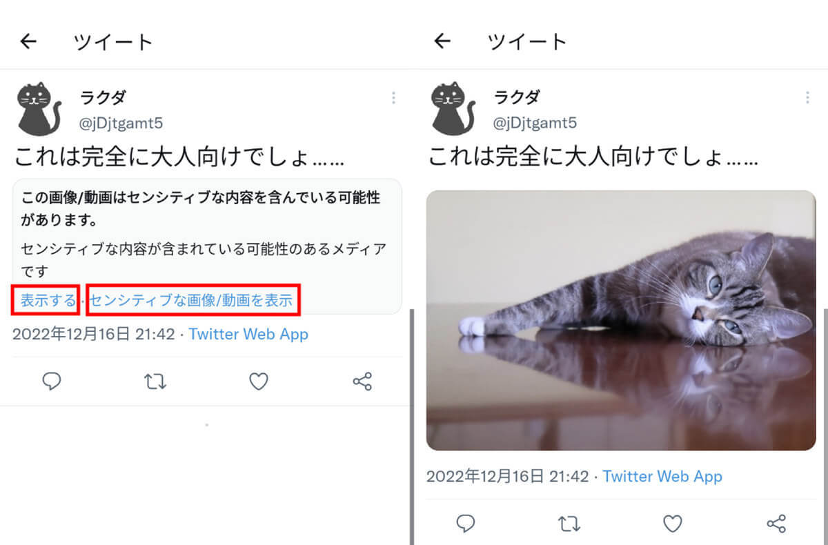 Twitter「センシティブな内容」が見られない原因は？警告を解除して閲覧する方法