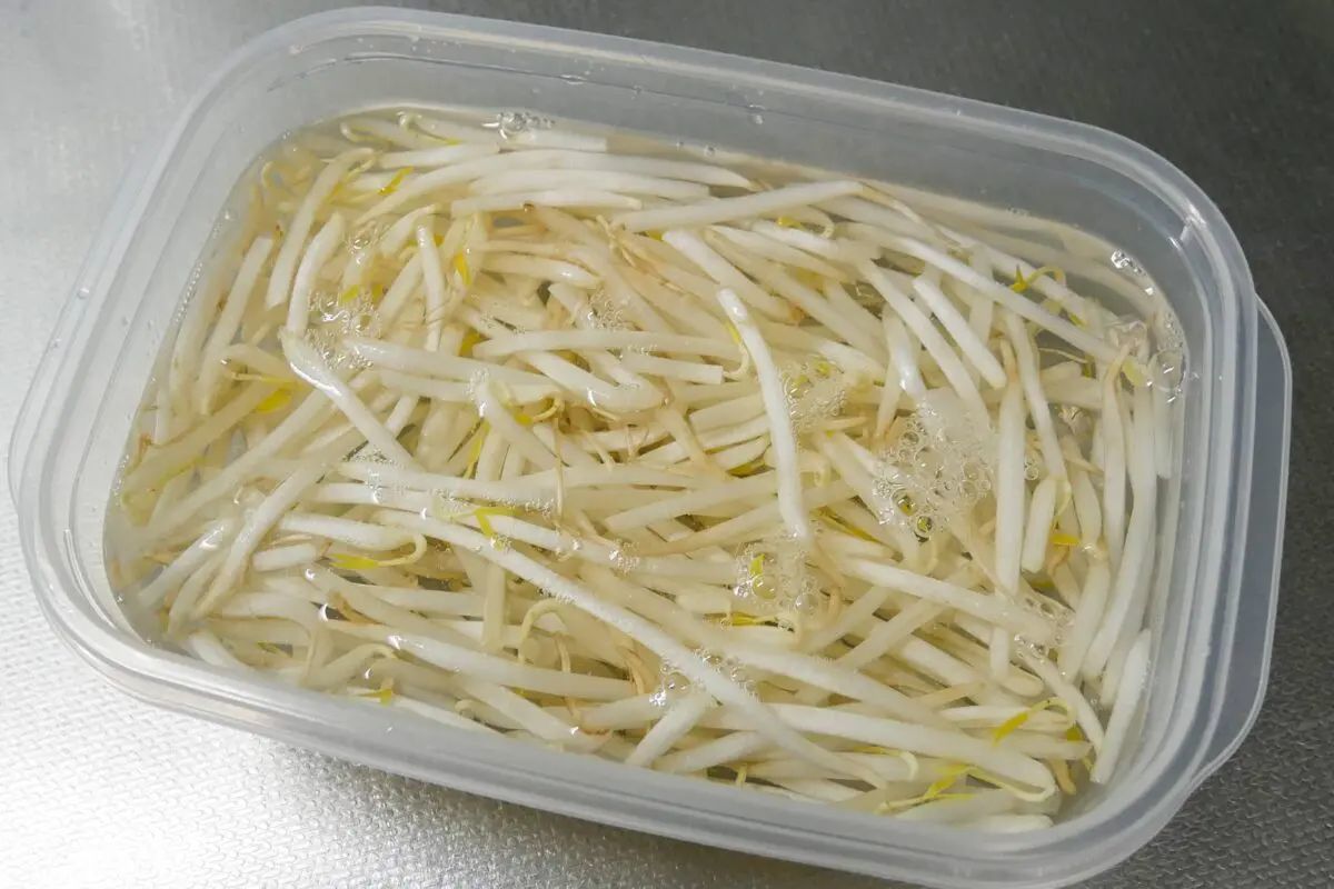 もやし、そのまま冷蔵庫に入れてない？　野菜のプロが教える「長持ちする保存方法」