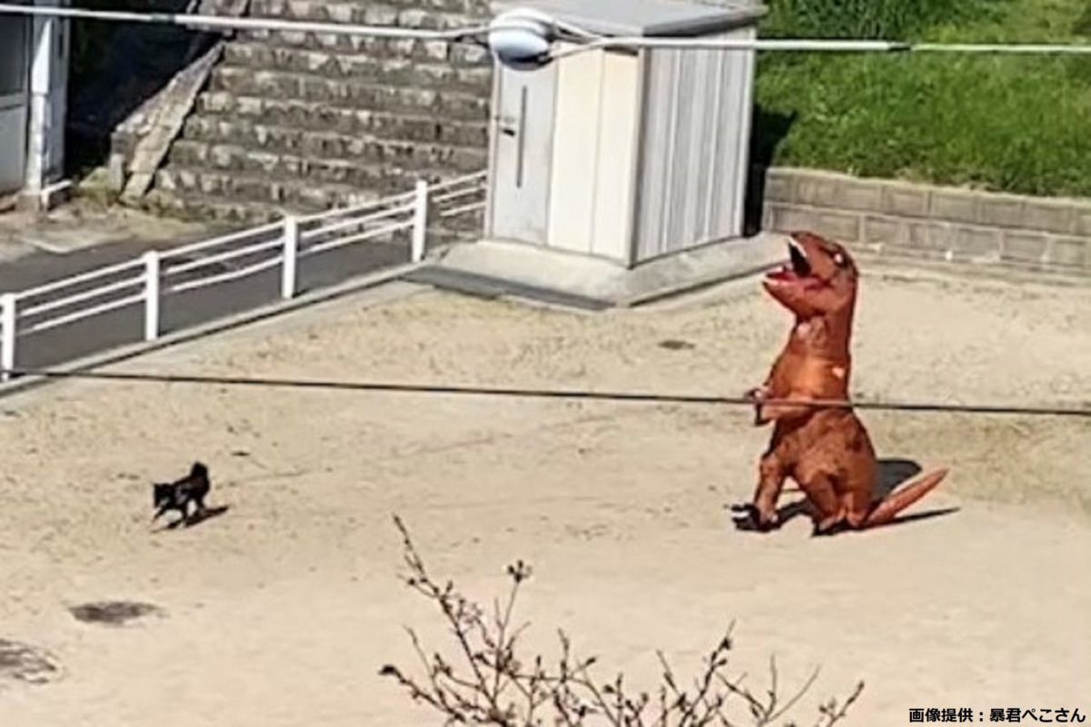 恐竜と犬のシュールな散歩が話題に　目を疑うような光景に「日本だよね？」と驚愕