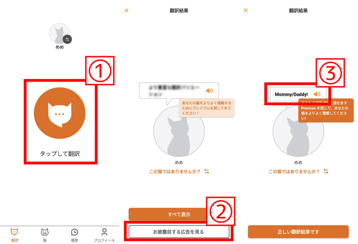 どうにか愛猫と喋りたい！　鳴き声の翻訳アプリを3個使って猫と会話して比較してみた