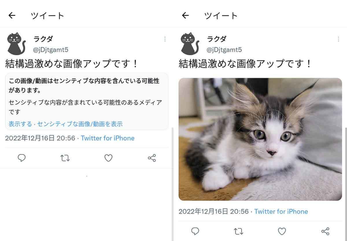 Twitterで「センシティブな内容」を見る／見ない設定のやり方