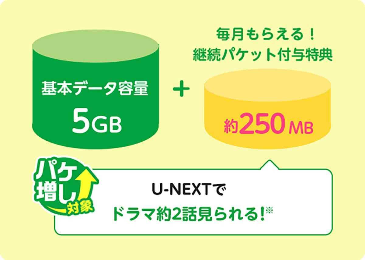 mineo（マイネオ）格安SIMキャンペーンまとめ【2024年1月】