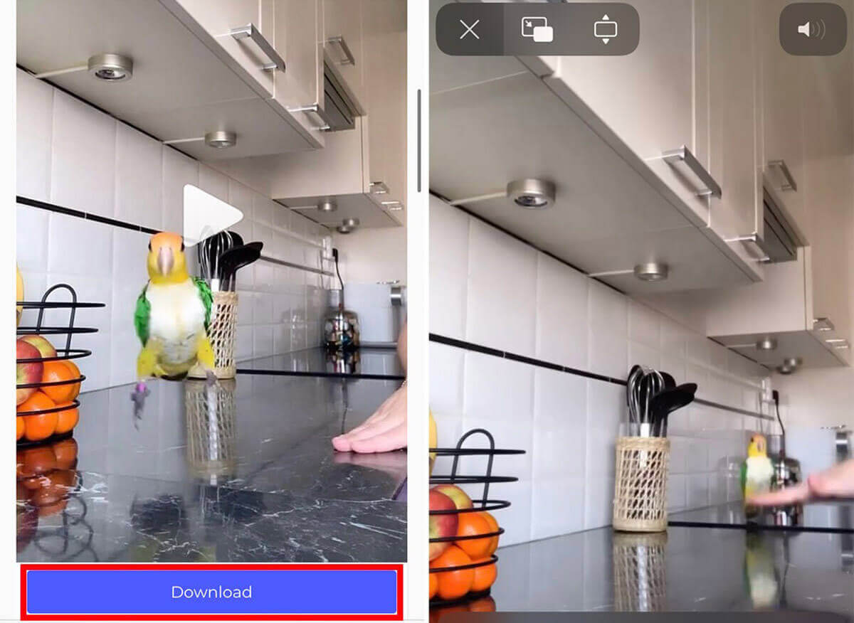 【2023】Instagramを「見るだけ」で使う方法！アカウント無しで投稿を見る手順