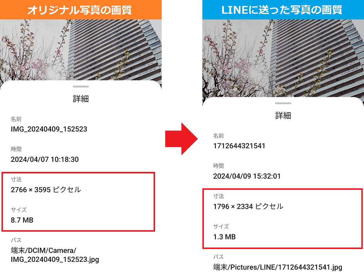 LINEで送った写真「画質が悪い」と言われたことない？　オリジナル画質のまま送る方法は