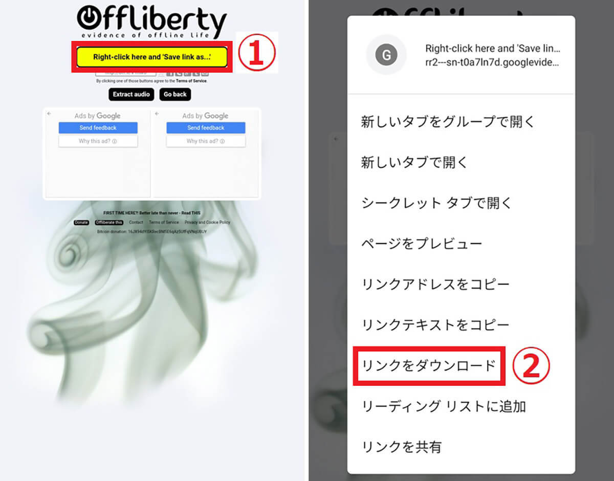 「Offliberty」でYouTube動画を簡単に保存する方法！注意点/違法性も解説