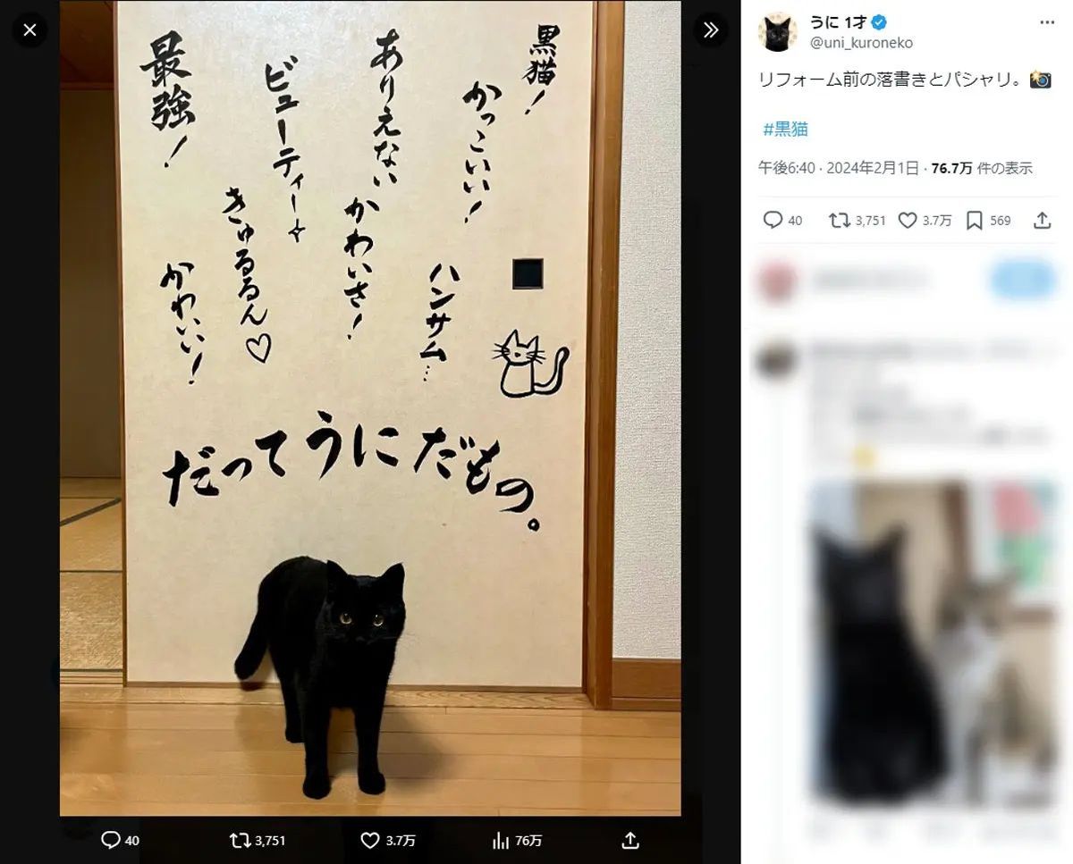 “ねこ”肯定感爆上がり！ふすまに書かれほめ言葉に猫ちゃんもご満悦？