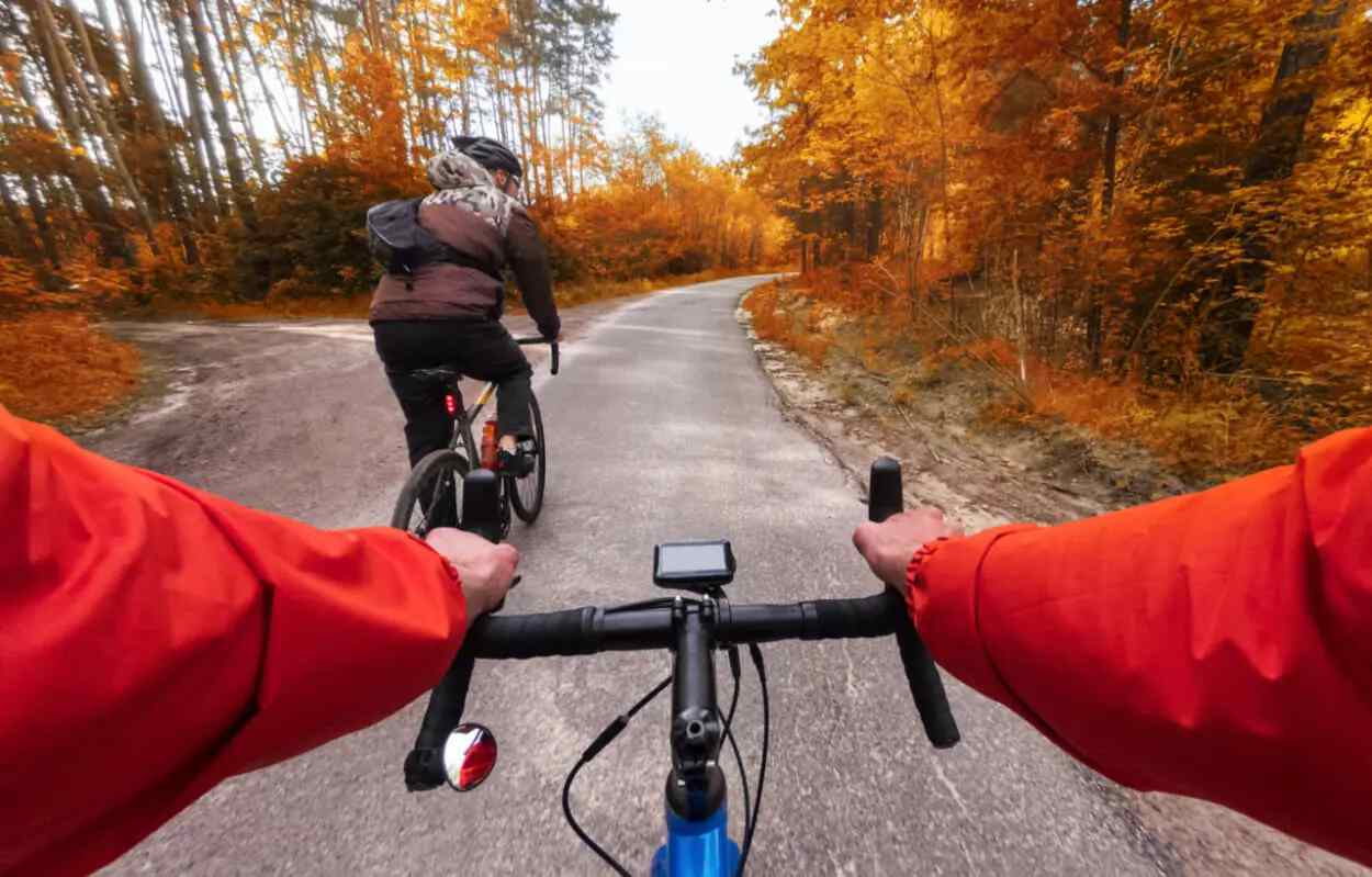 新鮮な空気と絶景を満喫！　紅葉を存分に楽しむため事前に知っておきたいポイント