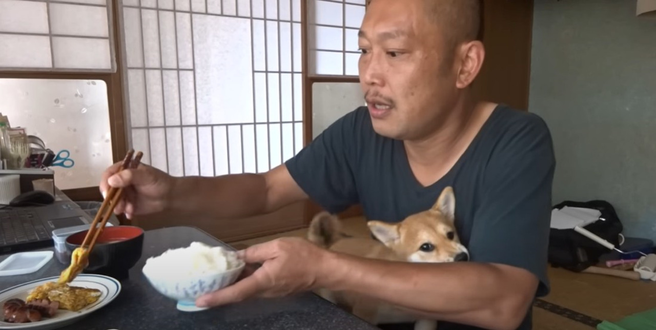 【人気動画】朝ごはんより私と遊んでよー！！朝食時に襲撃してくる柴犬がかわいすぎる動画