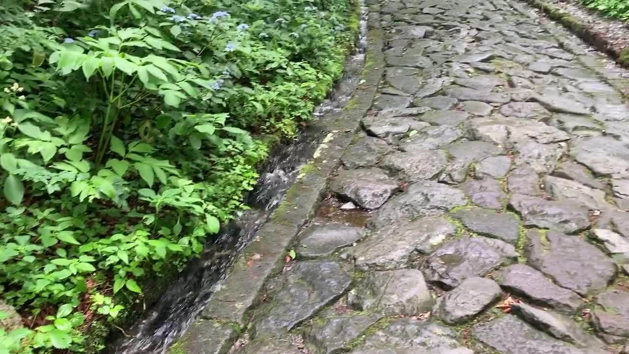 【鳥取】大神山神社　日本一長い石畳の参道に心落ちつく