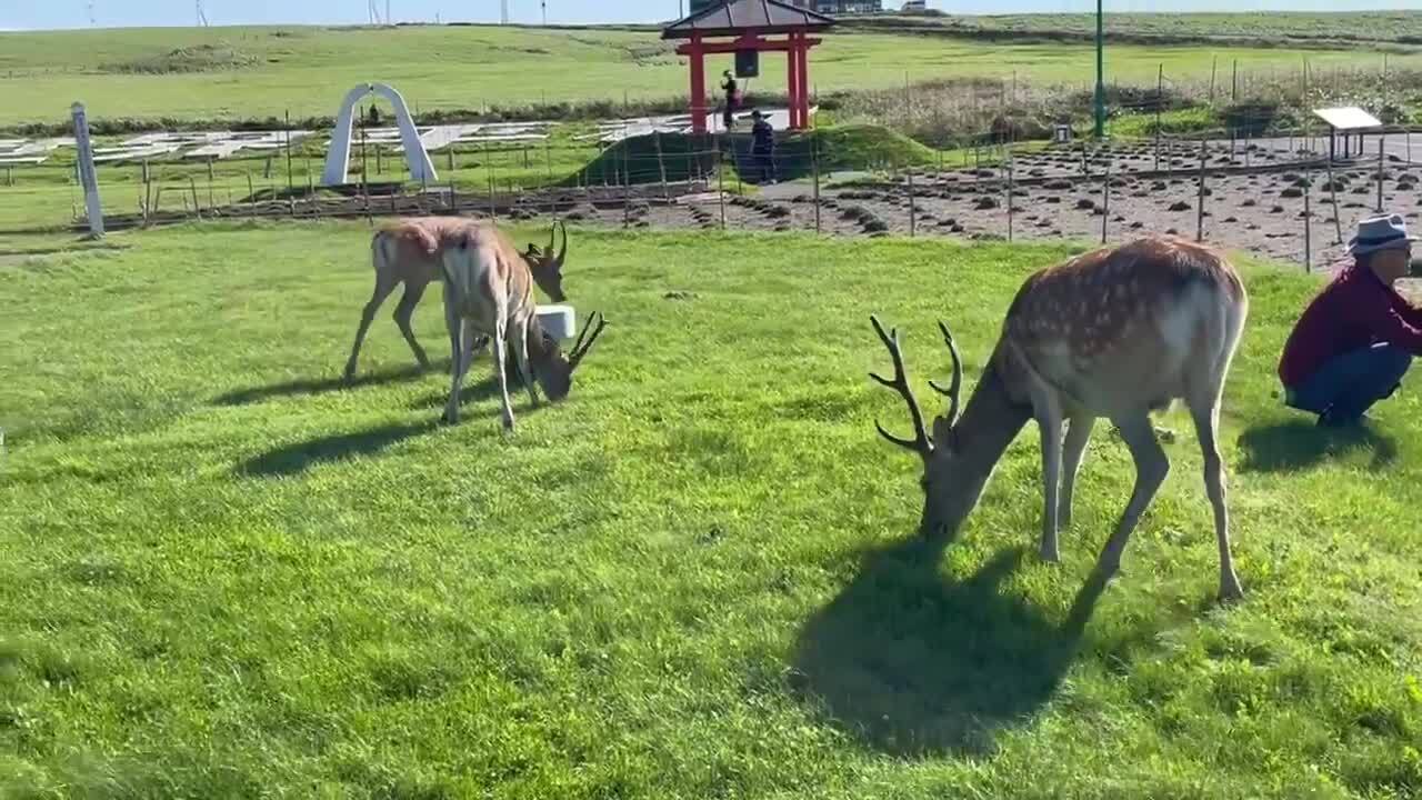 北海道・稚内は魅力たっぷり！9つのおすすめスポット、グルメ、宿泊情報をご紹介します