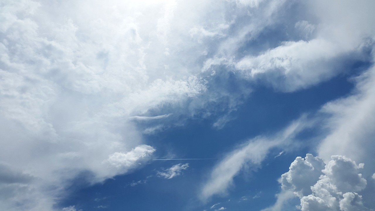 「雲中白鶴」とはどんな意味の四字熟語?その由来となったのはどんな人物?類義語は?