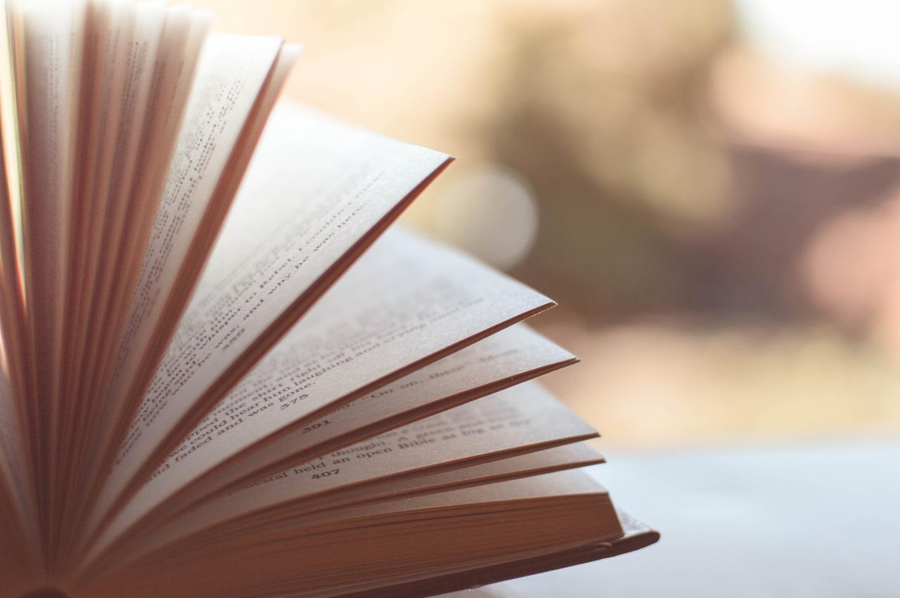 「席巻」とはどういう意味の言葉?その読みや「圧巻」との違いは?