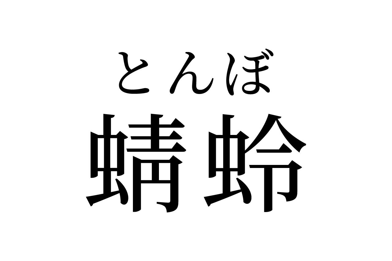 【読めたらスゴイ!】「蜻蛉」って一体何?絶対見たことある、あのムシのことだった!この漢字、あなたは読めますか?