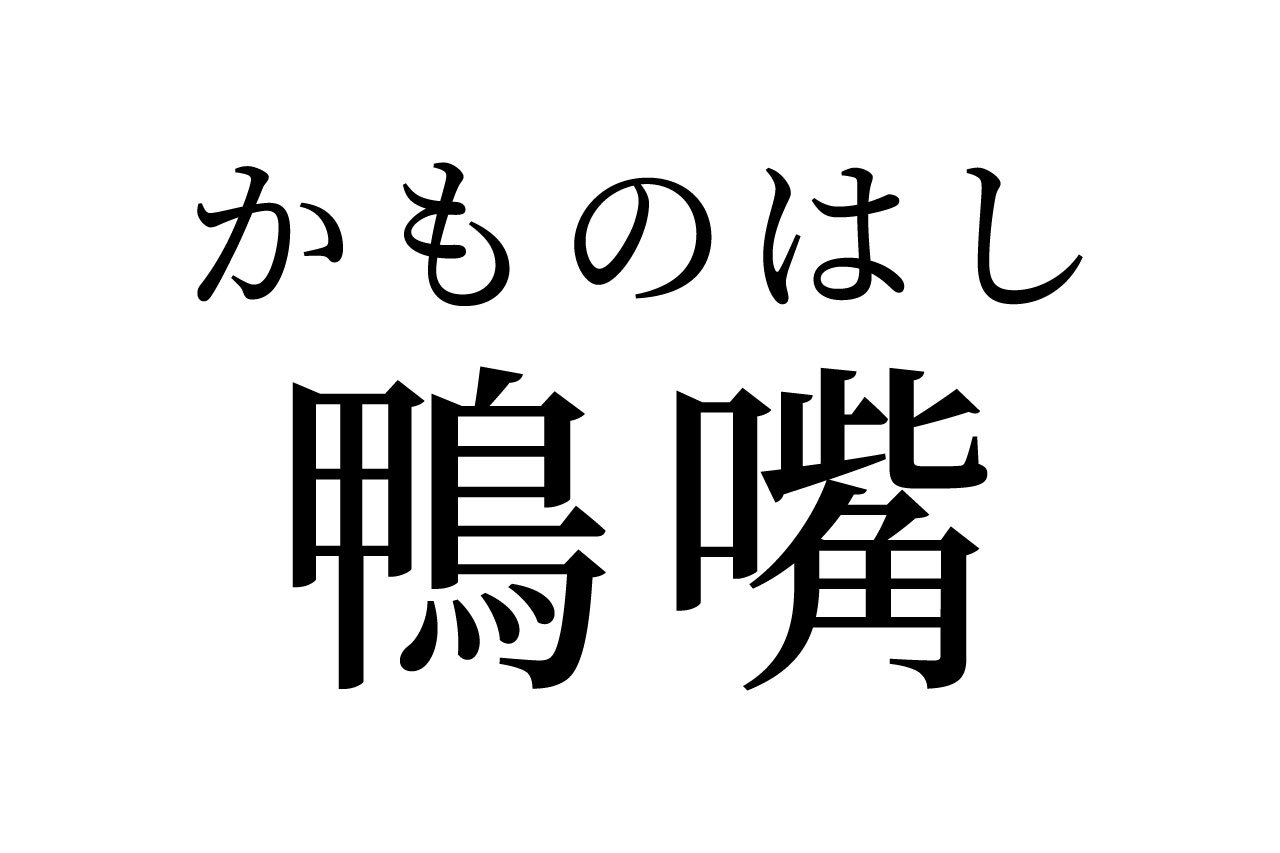 【読めたらスゴイ！】「鴨嘴」って一体何！？動物の名前？この漢字、あなたは読めますか？