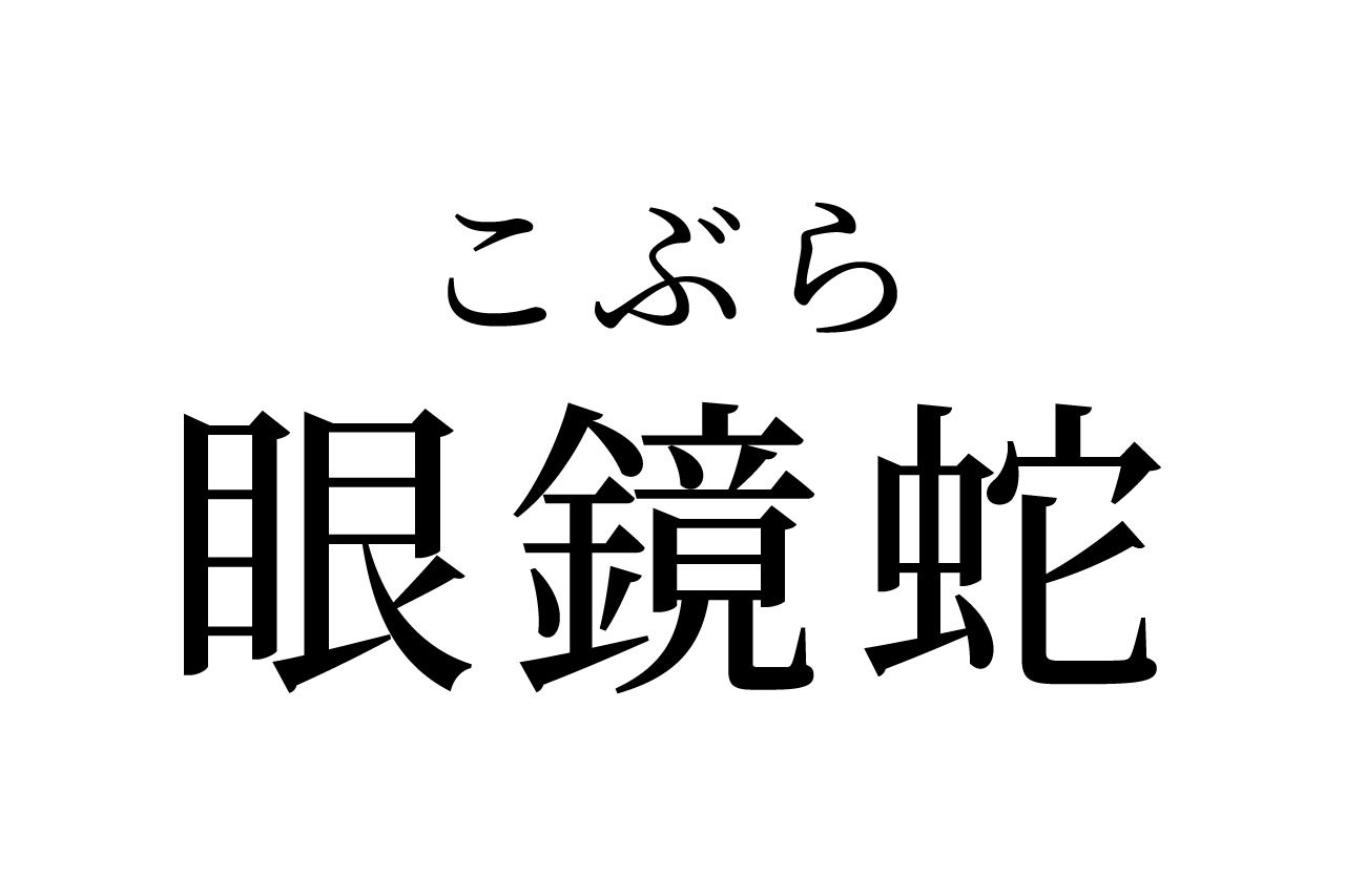 【読めたらスゴイ!】「眼鏡蛇」って何のこと!?メガネをかけたヘビ!?この漢字、あなたは読めますか?