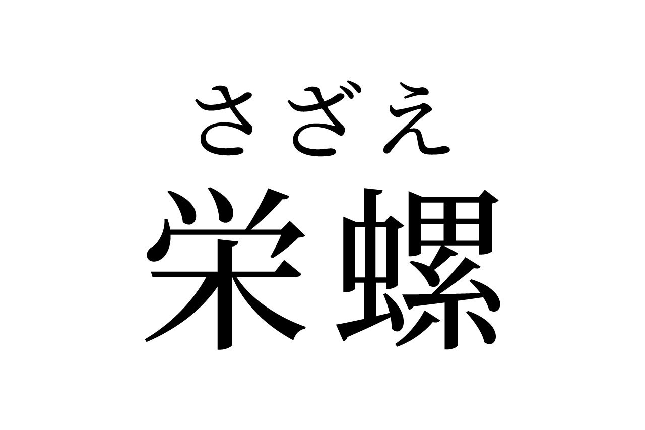 【読めたらスゴイ！】「栄螺」って一体何のこと！？あの国民的アニメでお馴染み！？この漢字、あなたは読めますか？