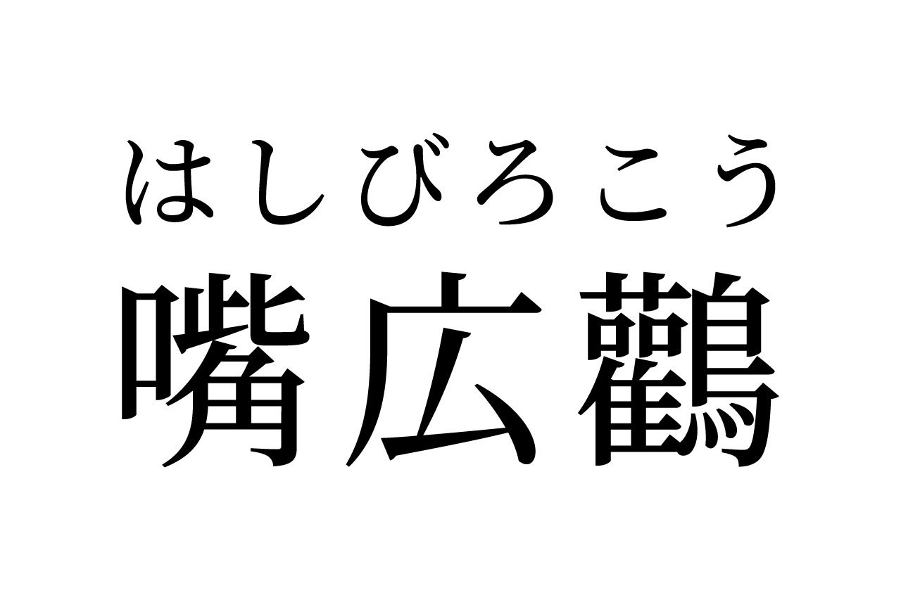 【読めたらスゴイ!】「嘴広鸛」って何のこと!?動物園にもいる、あの鳥のことでした。この漢字、あなたは読めますか?