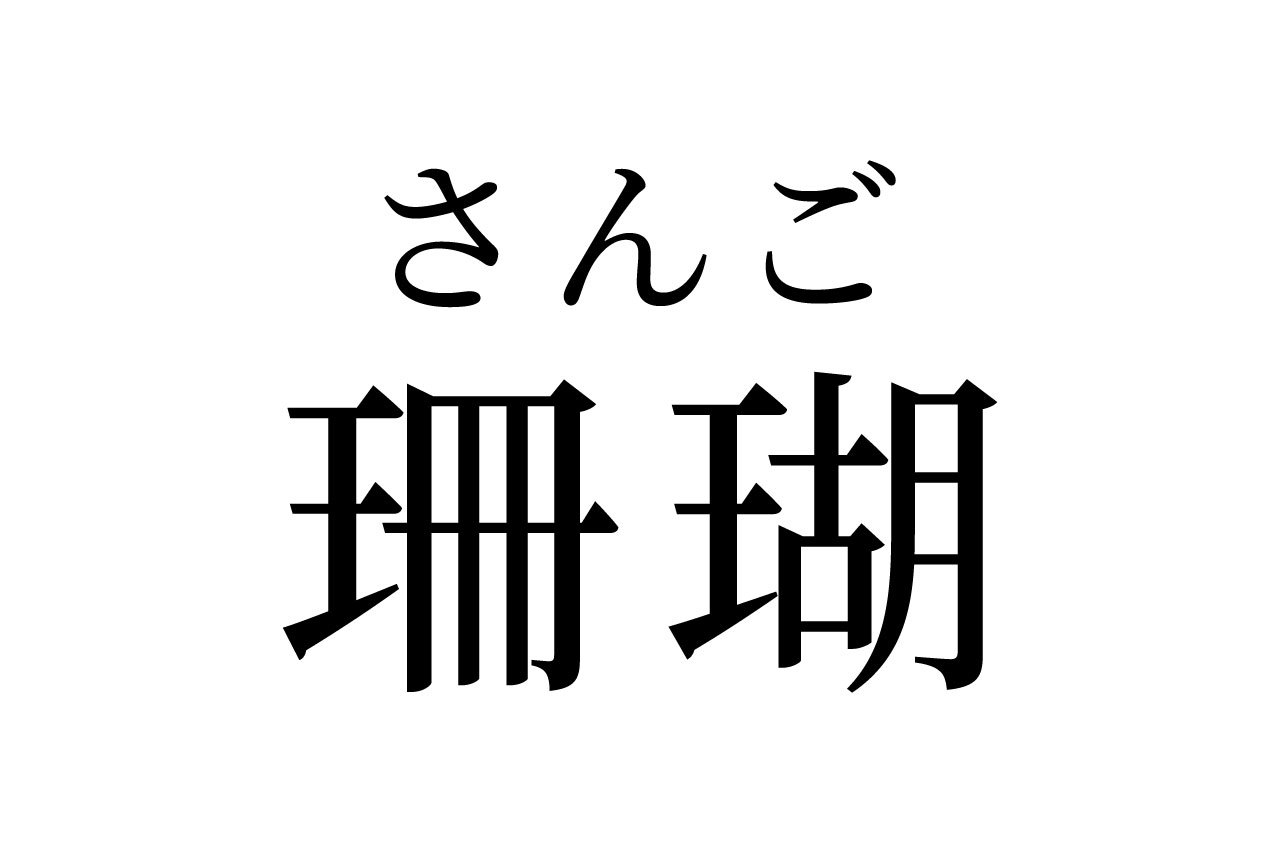 【読めたらスゴイ！】「珊瑚」とは何のこと！？海の植物・・と思いきや動物を指すこの言葉。あなたは読めますか？