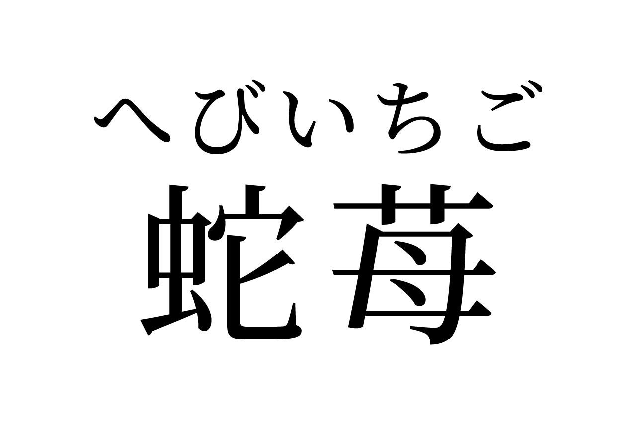【読めたらスゴイ!】「蛇苺」って何のこと!?イチゴの仲間!?この漢字、あなたは読めますか?