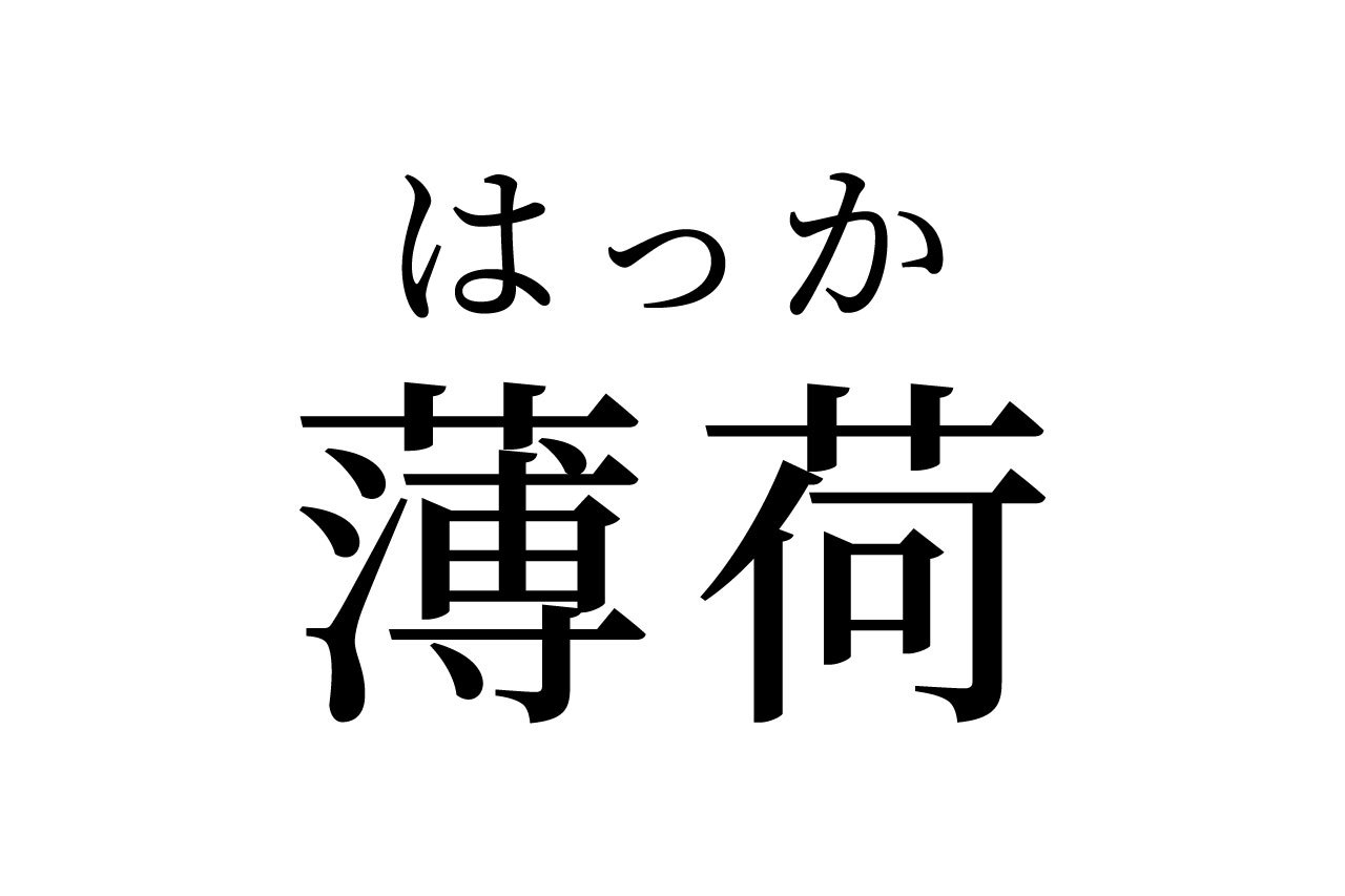 【読めたらスゴイ！】「薄荷」って何のこと！？読めそうで読めないけど、好きな人も多いハズ！この漢字、あなたは読めますか？