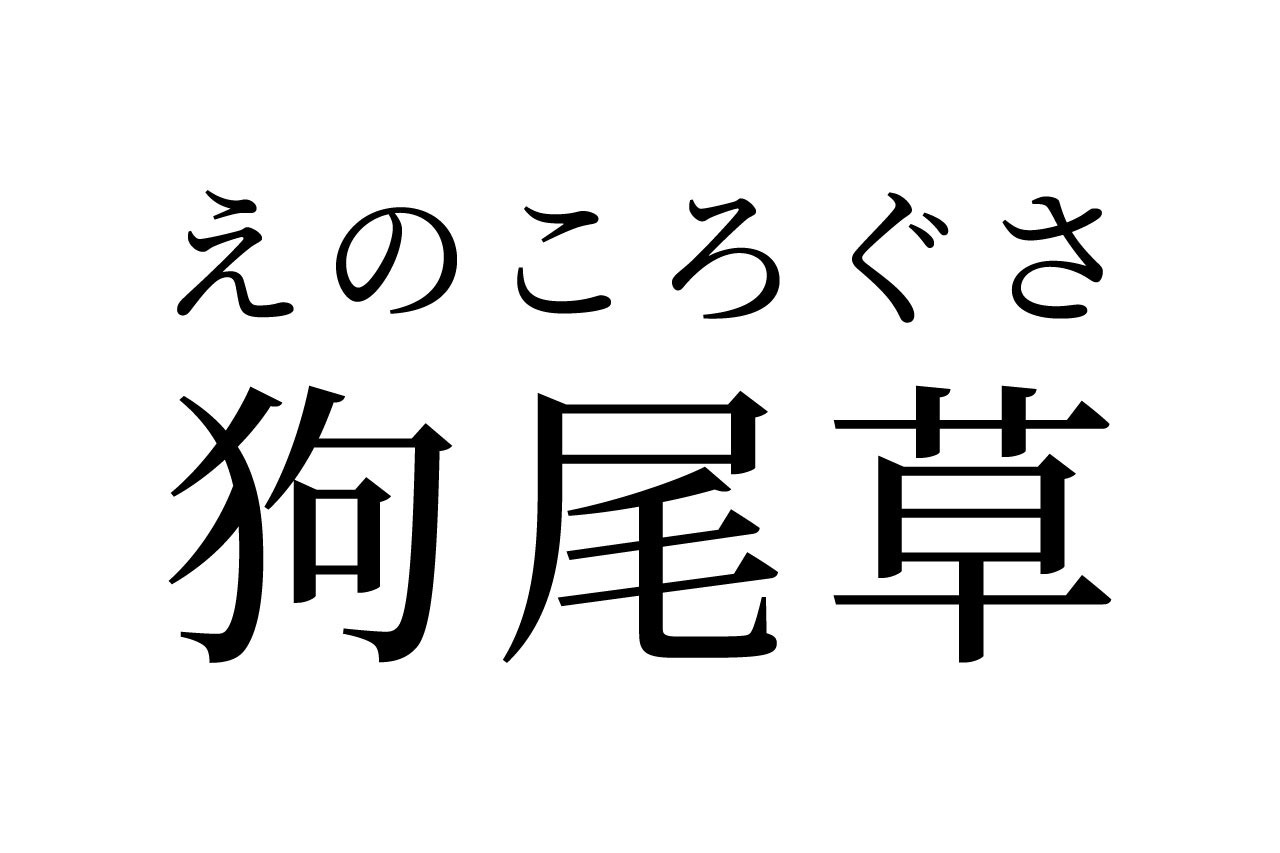 【読めたらスゴイ!】「狗尾草」ってどんな草!?絶対見たことある、あの雑草の正式名称!?この漢字、あなたは読めますか?