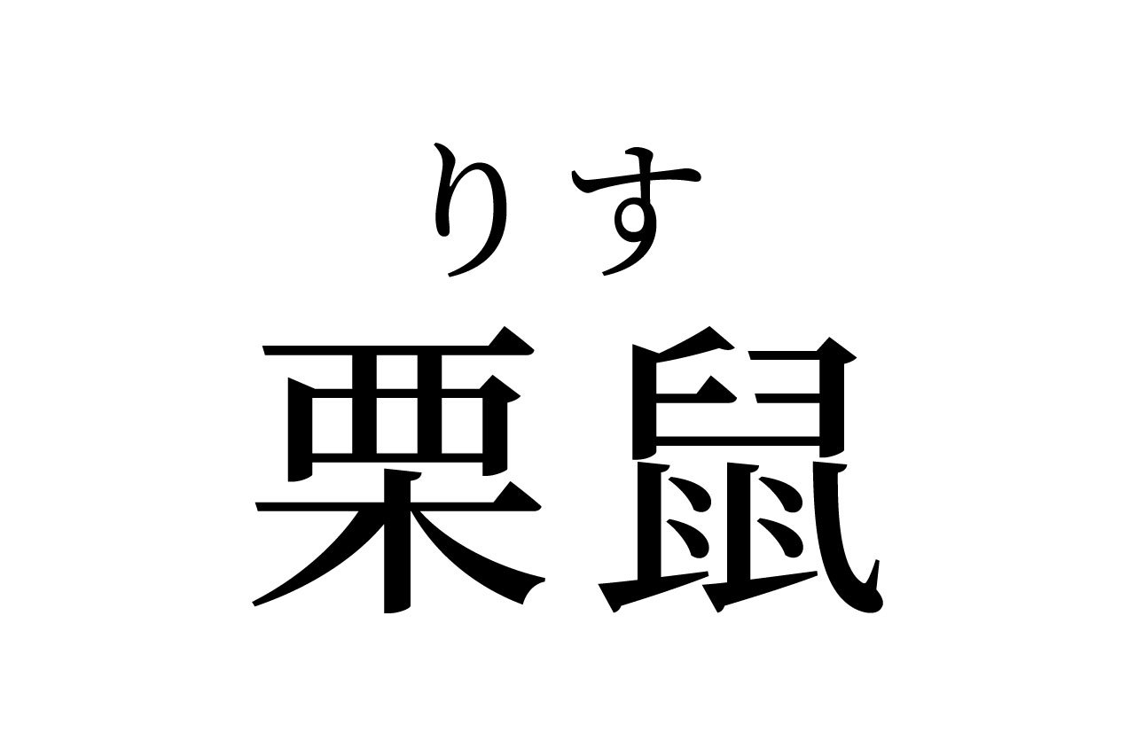 【読めたらスゴイ!】「栗鼠」って一体何のこと!?栗との関係は!?この漢字、あなたは読めますか?