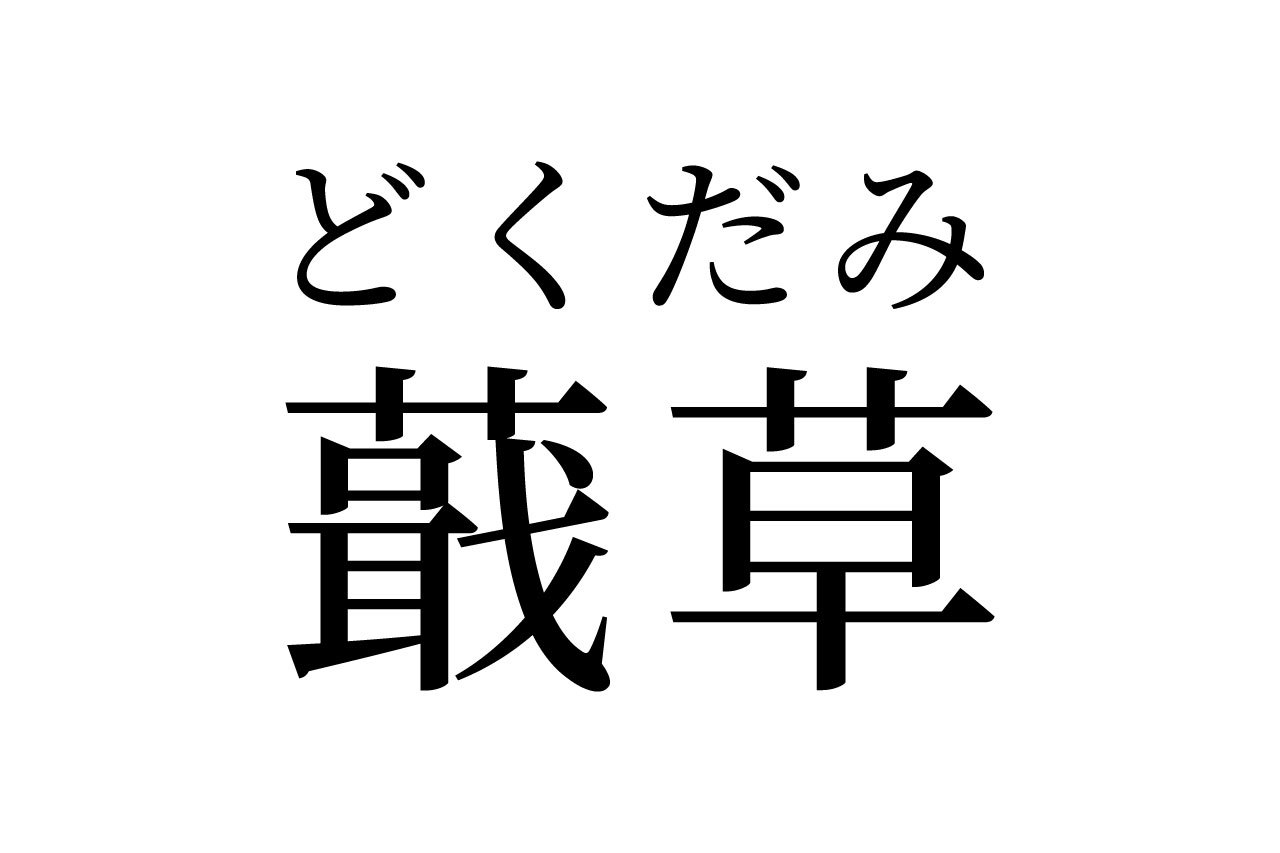 【読めたらスゴイ！】「蕺草」ってどんな草！？見たことあるあの植物です！この漢字、あなたは読めますか？