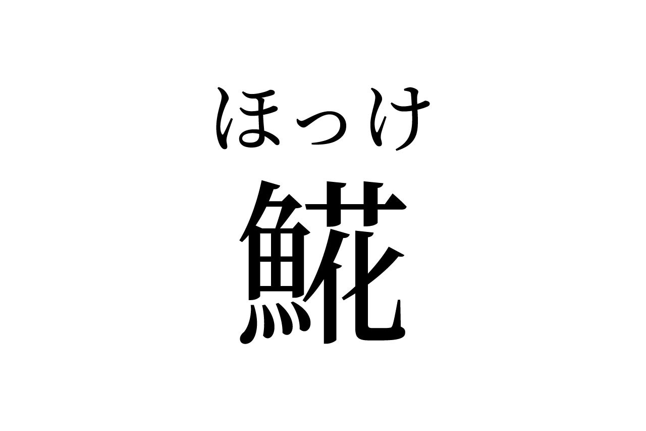 【読めたらスゴイ！】「𩸽」って一体何のこと？この漢字、あなたは読めますか？