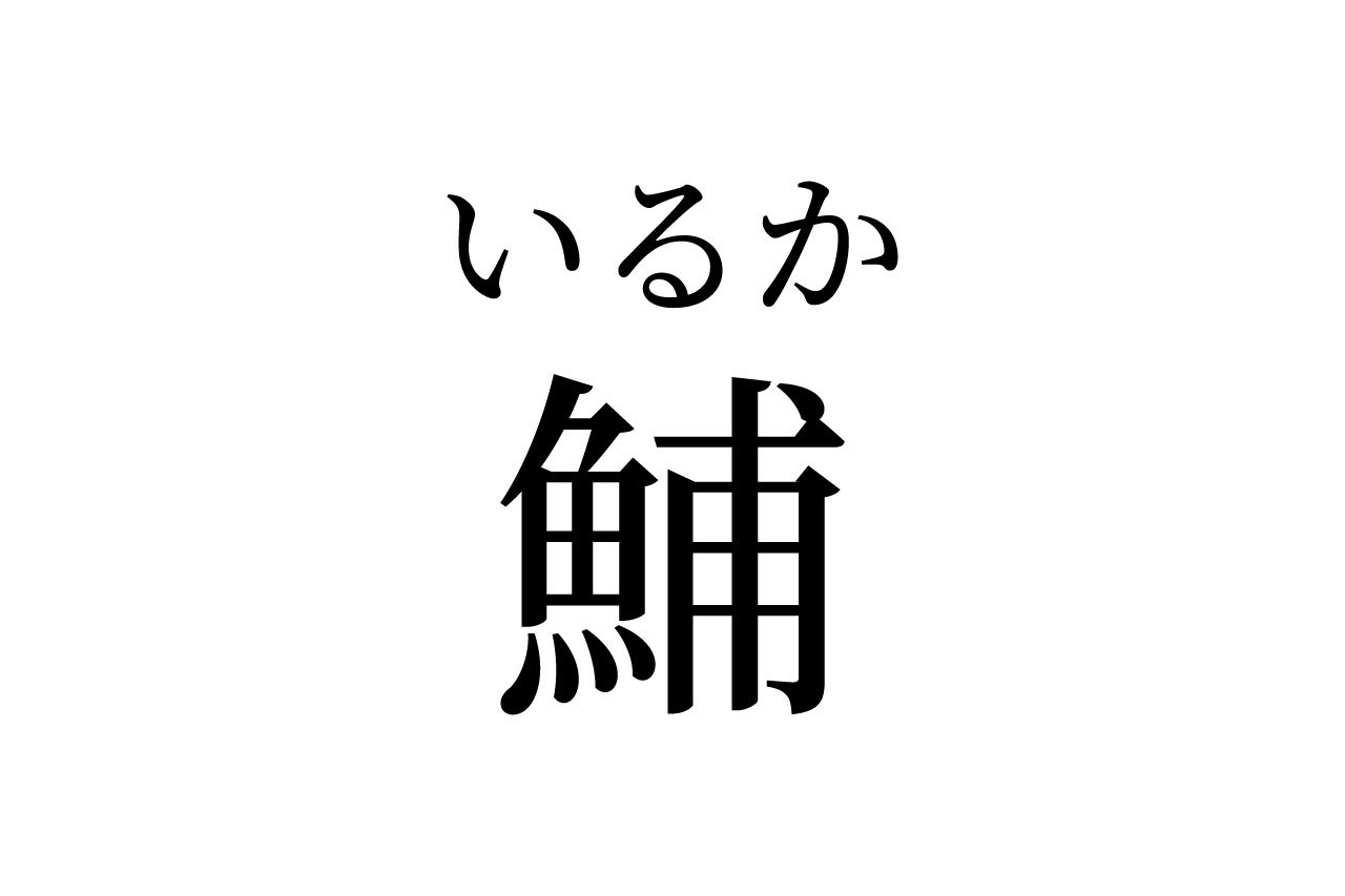 【読めたらスゴイ！】「鯆」って一体何のこと！？「魚」が付いているけどサカナじゃない！？この漢字、あなたは読めますか？