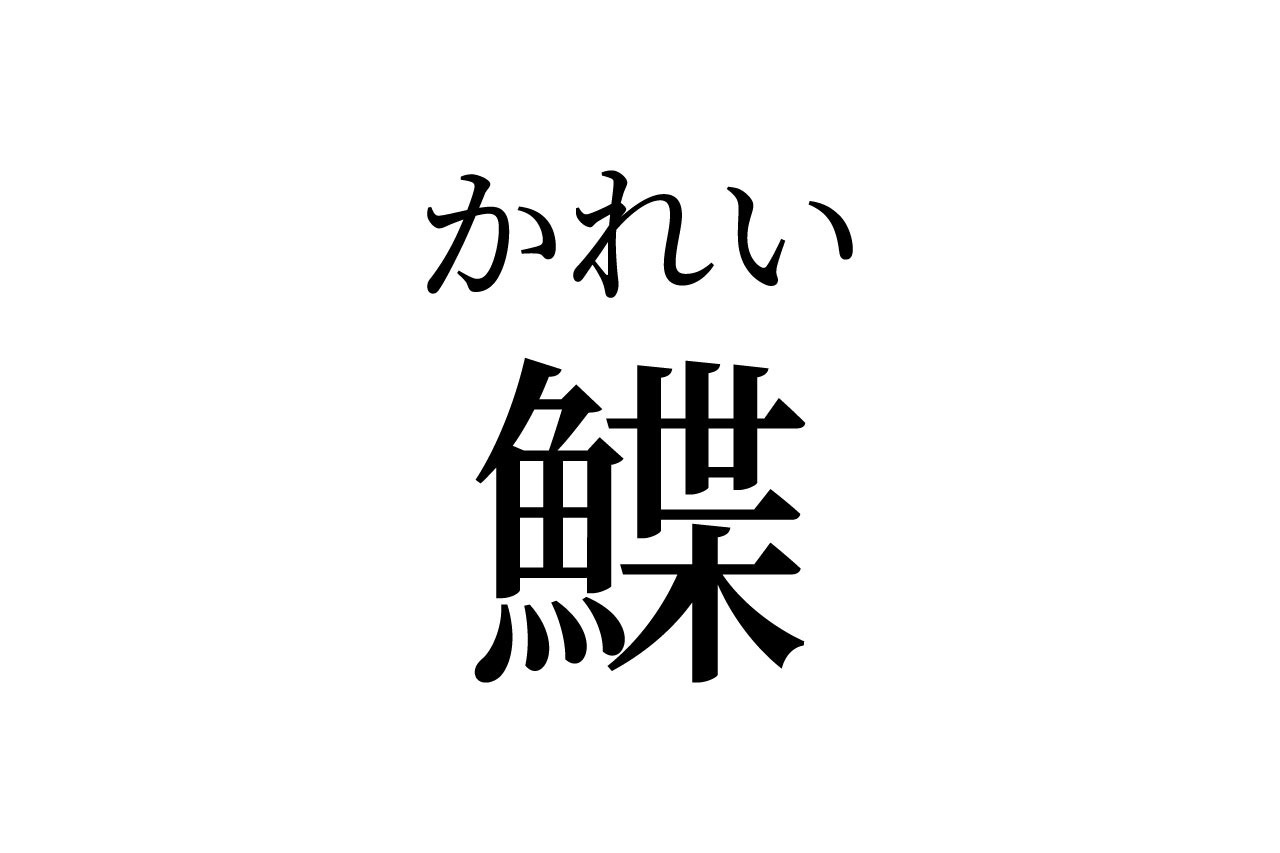 【読めたらスゴイ！】「鰈」って何のこと！？魚の名前だよね！？この漢字、あなたは読めますか？