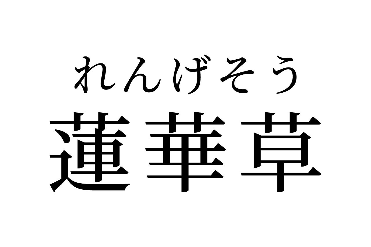 【読めたらスゴイ!】「蓮華草」ってどんな草!?一度は見たことあるハズ!この漢字、あなたは読めますか?