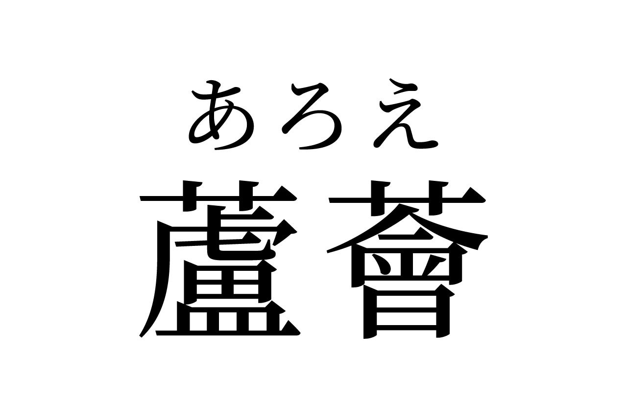【読めたらスゴイ!】「蘆薈」って何のこと?実はよく見る植物の名前だった!この漢字、あなたは読めますか?