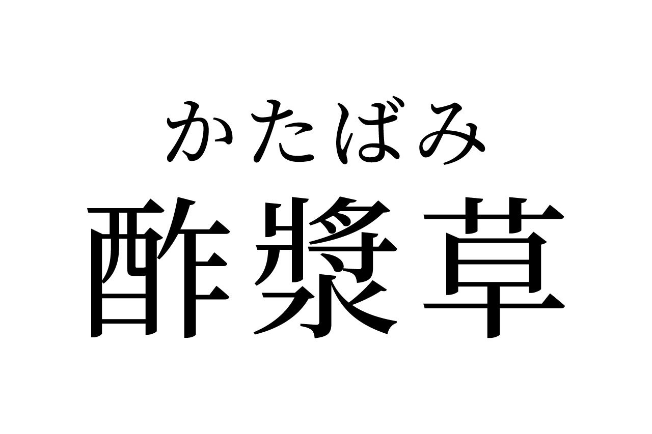【読めたらスゴイ!】「酢漿草」ってどんな草?ハートの葉?この漢字、あなたは読めますか?