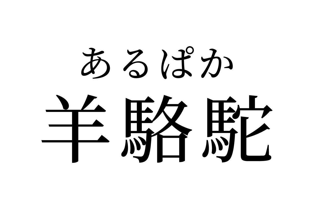 【読めたらスゴイ!】「羊駱駝」って一体何!?動物のこと??この漢字、あなたは読めますか?